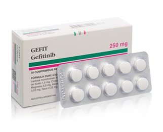 GEFIT